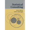 Statistical Consulting