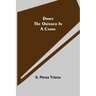 Down the Orinoco in a Canoe