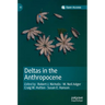 Deltas in the Anthropocene