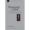 Possessed by God: A New Testament Theology of Sanctification and Holiness
