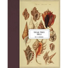 Vintage Prints: Shells