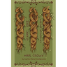 How Long Your Roots Have Grown