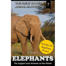 Elephants: The Largest Land Animals on the Planet