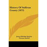 History Of Sullivan County (1873)