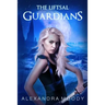 The Liftsal Guardians