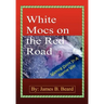 White Mocs on the Red Road / Walking Spirit in a Native Way