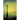 Ghosts by Gaslight