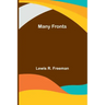 Many Fronts