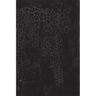 Black Square: Malevich and the Origin of Suprematism