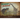 Dinosaur Archives