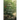 Finder of Forgotten Things