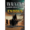Analyzing the Teaching of Labor in Exodus: From Slavery to Liberation