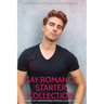 Gay Romance Starter Collection: 20 Sweet Gay Contemporary Romance Short Stories