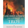Ancient Cities: The History of Troy