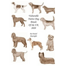 Vulnerable Native Dog Breeds: of the UK 2020