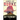 Bitterroot