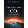 What to Do About Co2: And All Those Other Ghastly Gases