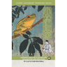 Learn Japanese through Haiku - Kobayashi Issa: Enjoy Japanese culture while building your vocabulary and grammar