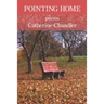 Pointing Home