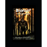 BigFoot: Myth or Legend