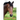 Let's Hear It for the Horses