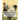Brahma Chickens: From The Book of Poultry