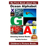 My First Book about the Ocean Alphabet - Amazing Animal Books - Children's Picture Books