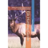 Elk Hunting Guide: What you need to know to be a successful Elk Hunter
