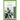 Insulin Plant for Diabetes Pain Relief: Guide To Using Insulin Plant For Managing Diabetes