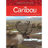 Animals Illustrated: Caribou