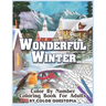 Wonderful Winter Color By Number Coloring Book For Adults: Fun Frosty Weather Coloring Book
