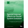 Special External Effects on Fluvial System Evolution