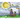 To the Moon