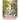 Cecilia and the Dancing Trees