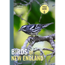 Birds of New England: A Timber Press Field Guide