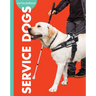 Curious about Service Dogs