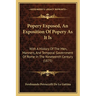 Popery Exposed, An Exposition Of Popery As It Is: With A History Of The Men, Manners, And Temporal Government Of Rome In The Nineteenth Century (1875)