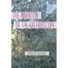 The Invention of the Kaleidoscope
