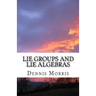 Lie Groups and Lie Algebras: A Rewrite of Lie Theory