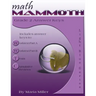 Math Mammoth Grade 2 Answer Keys