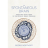 The Spontaneous Brain: From the Mind-Body to the World-Brain Problem