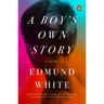 A Boy's Own Story