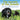 The Secrets of the Animals: Inside Your Amazing Neighborhood