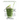 Cook with Matcha and Green Tea: Ultimate Guide & Recipes for Brewing and Cooking with Matcha & Green Tea