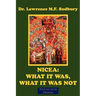Nicea: What It Was, What It Was Not