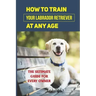 How To Train Your Labrador Retriever At Any Age: The Ultimate Guide For Every Owner: Clicker Training Lab Retriever Guide