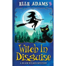 Witch in Disguise