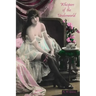Whispers of the Underworld: Bisbee's Red-Light District
