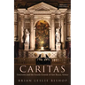 Caritas: Tintoretto and the Scuola Grande di San Rocco, Venice