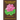 The Symbolisms in Buddhism: A Clear, Engaging, And In-depth Writing On The Buddha's Philosophies With Many Life Examples. Learn How To Put His Tea